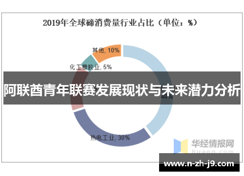 阿联酋青年联赛发展现状与未来潜力分析