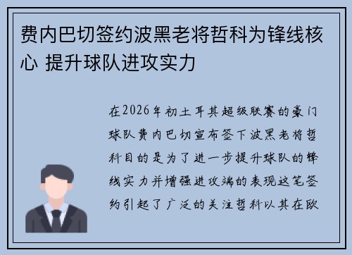 费内巴切签约波黑老将哲科为锋线核心 提升球队进攻实力